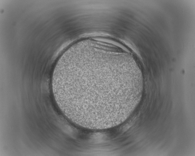 X0000068720111200605262010