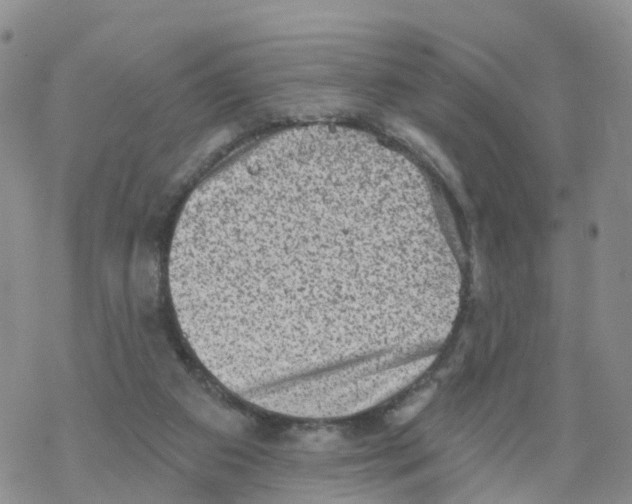 X0000068720113200605262010