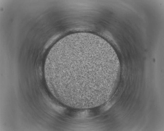 X0000068720116200605262010