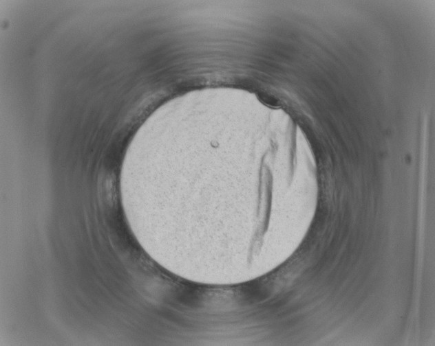 X0000068720123200605262010