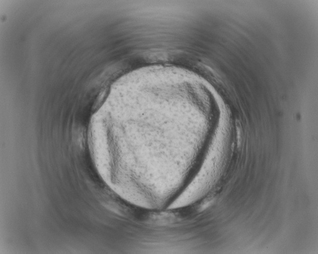 X0000068720125200605262010