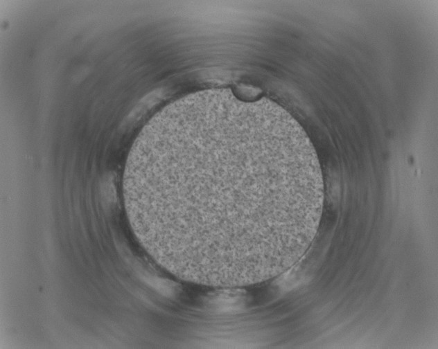 X0000068720128200605262010