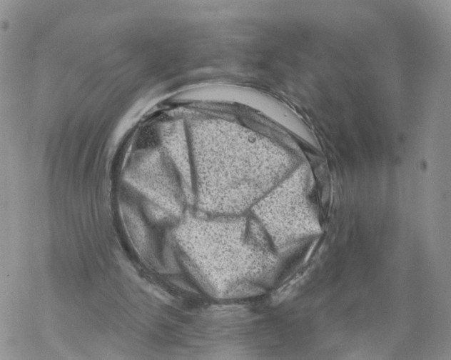 X0000068720150200605262009