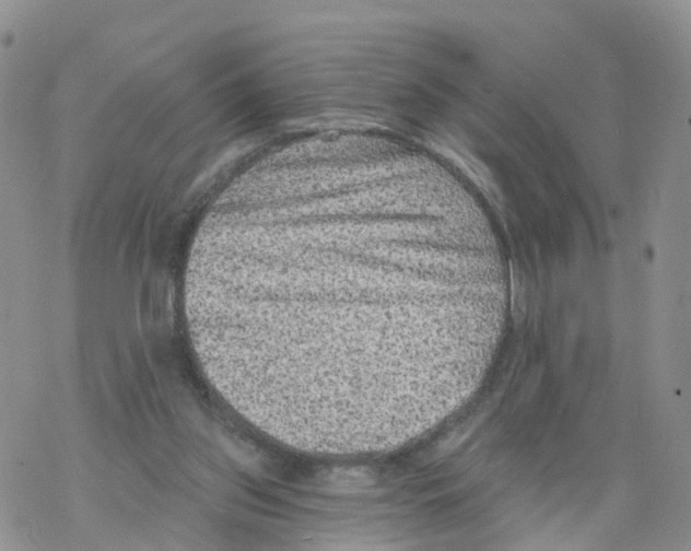 X0000068720157200605262009