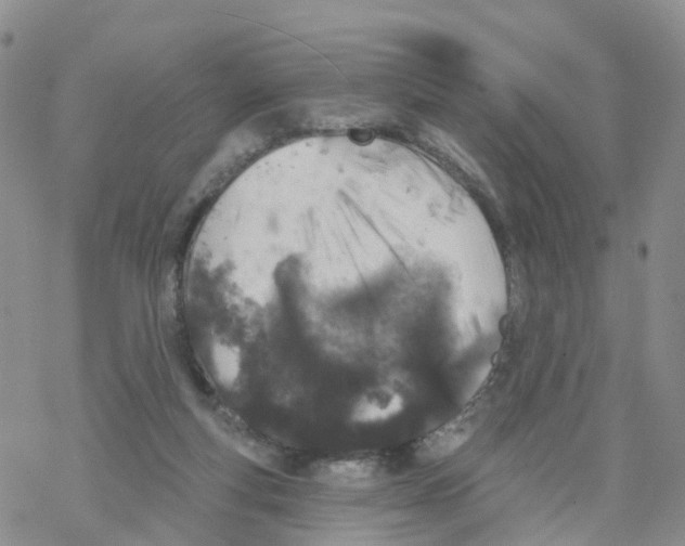 X0000068720163200605262009