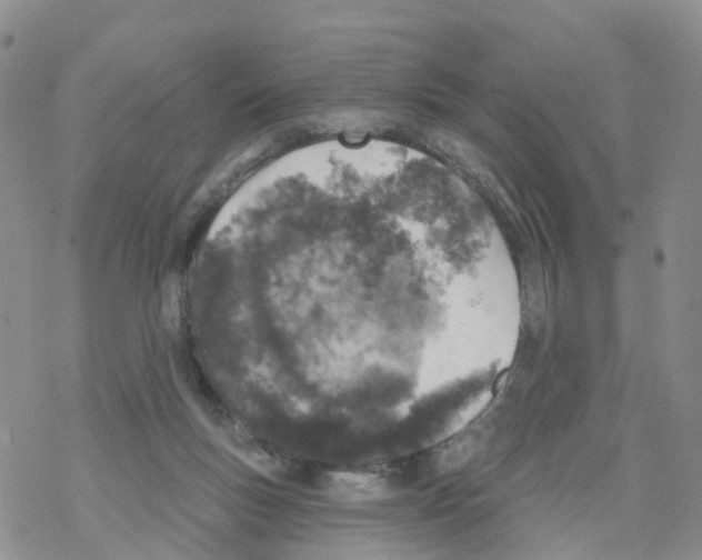 X0000068720167200605262009