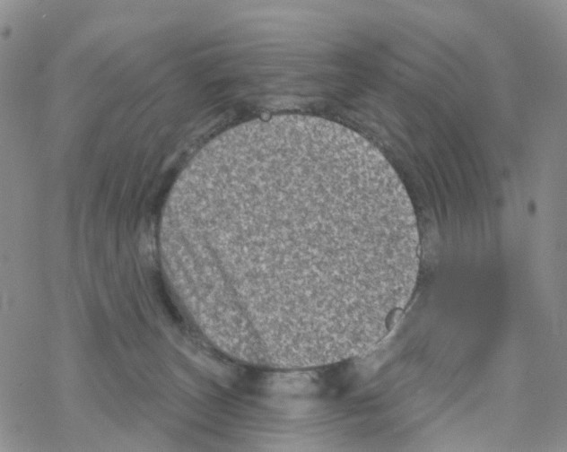 X0000068720179200605262010