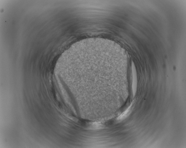 X0000068720184200605262010