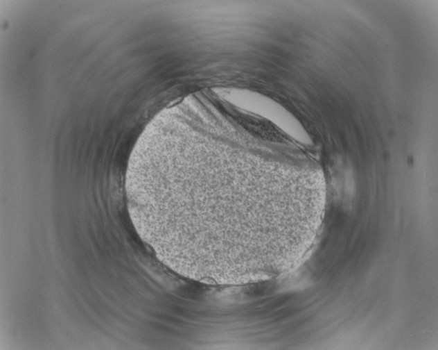 X0000068720186200605262010