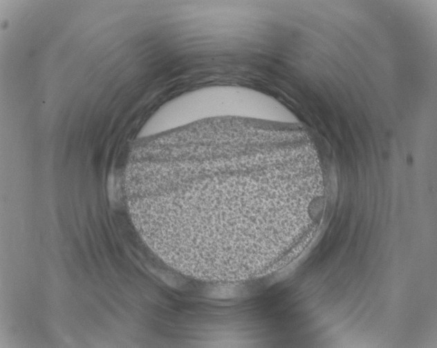 X0000068720191200605262010