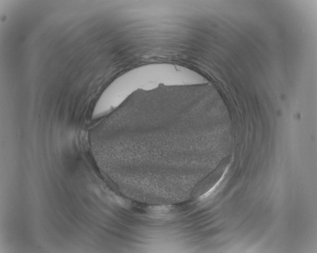 X0000068720192200605262010
