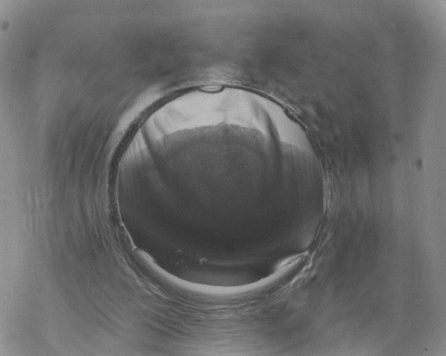 X0000068720200200605262009