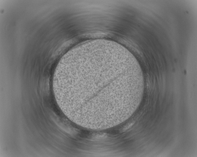 X0000068720206200605262009