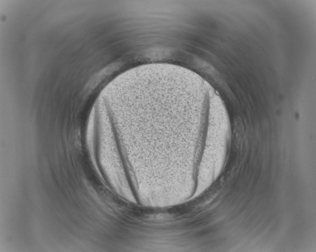 X0000068720212200605262009