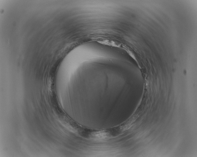 X0000068720219200605262009