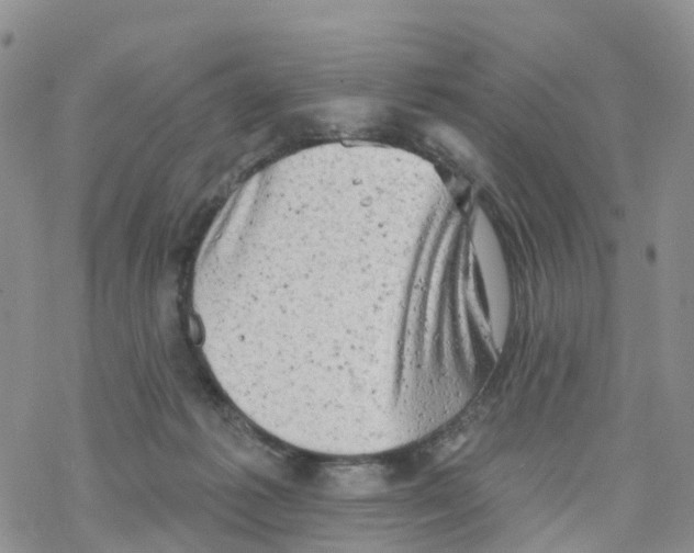 X0000068720221200605262009