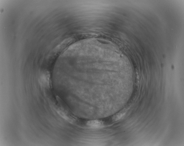 X0000068720231200605262008