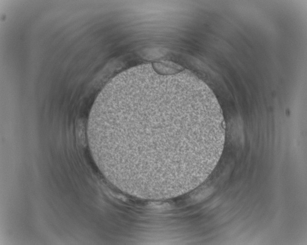 X0000068720234200605262008