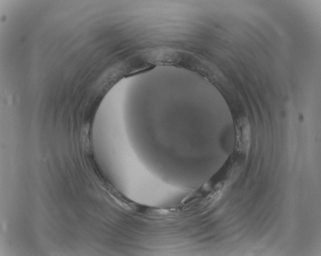 X0000068720239200605262008