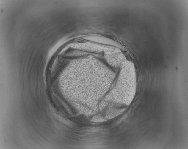 X0000068720246200605262008