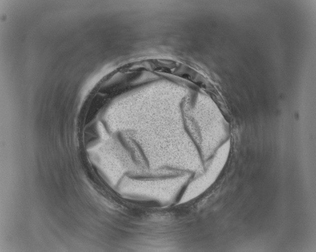 X0000068720248200605262008