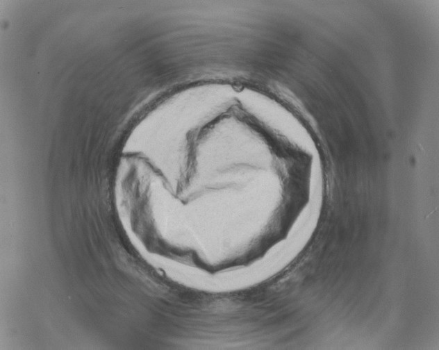 X0000068720249200605262008
