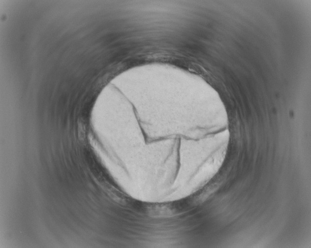 X0000068720281200605262008