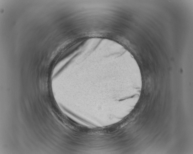 X0000068720299200605262007