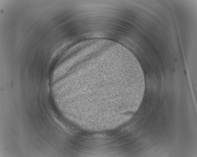 X0000068720302200605262007