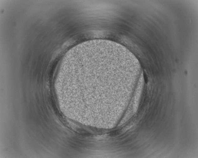 X0000068720306200605262007