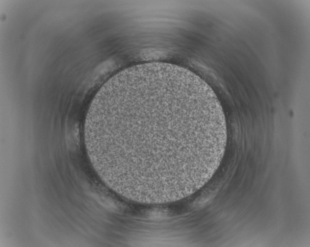 X0000068720308200605262007