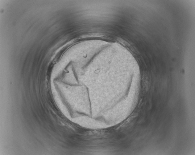 X0000068720338200605262006