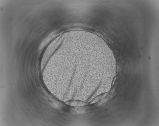 X0000068720341200605262006