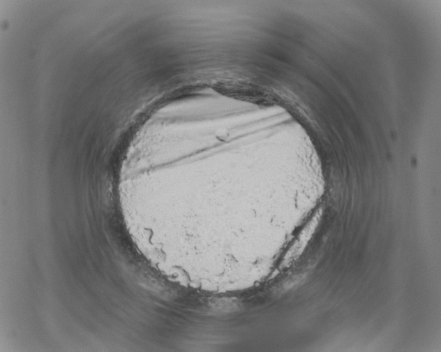 X0000068720355200605262006