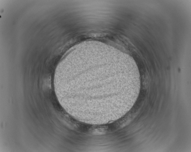 X0000068720368200605262006