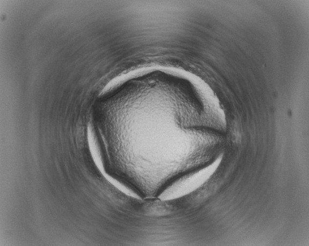 X0000068720372200605262007