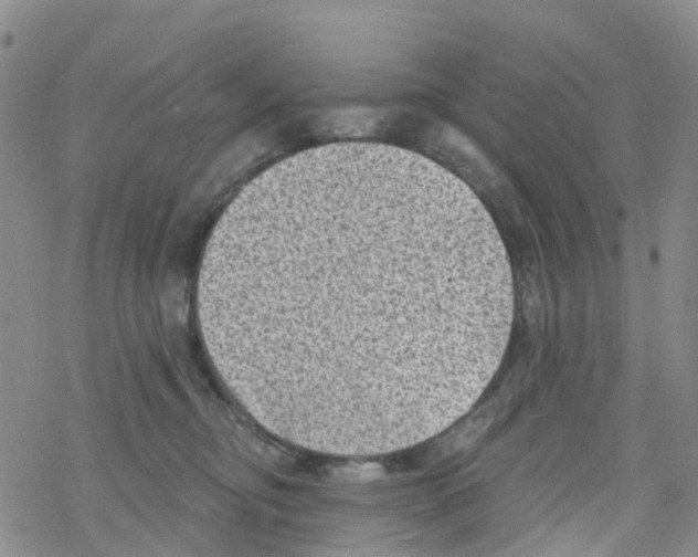 X0000068720374200605262007
