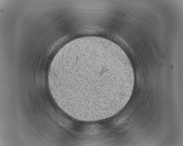 X0000068720396200605262006