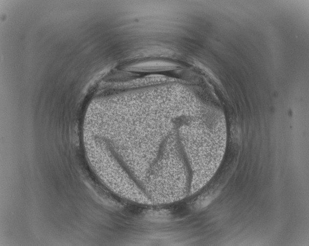 X0000068720403200605262006
