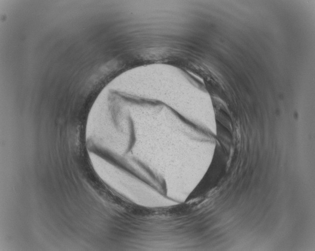 X0000068720404200605262006
