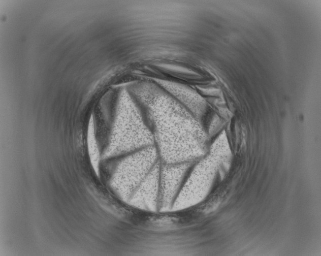 X0000068720407200605262006