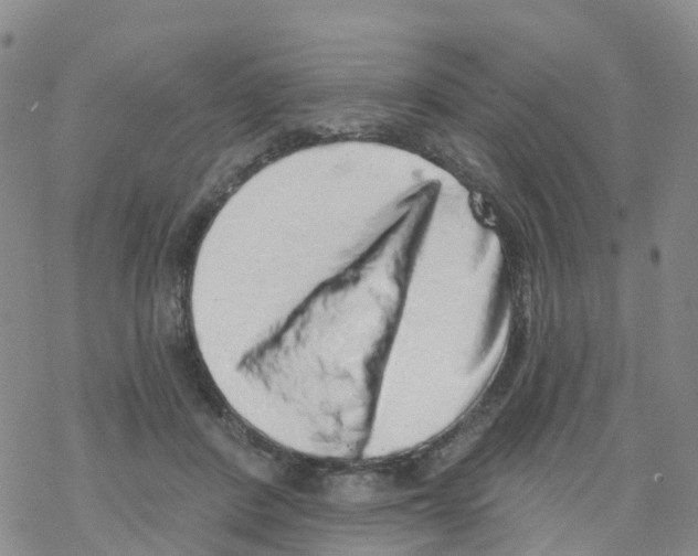 X0000068720408200605262006