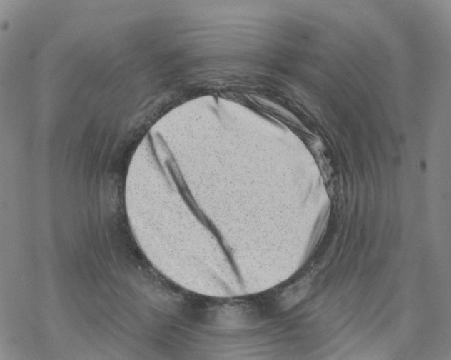 X0000068720412200605262006