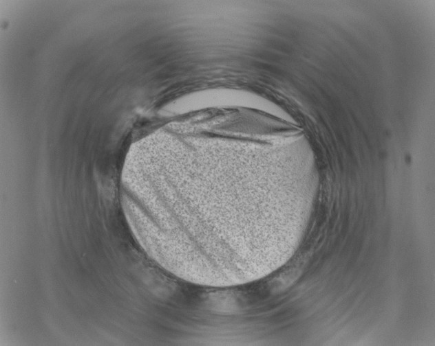 X0000068720417200605262005