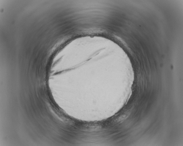 X0000068720443200605262005