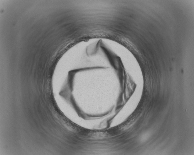 X0000068720449200605262005