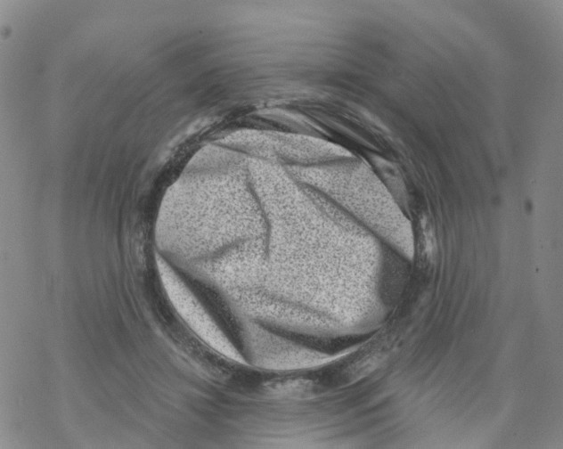 X0000068720452200605262005