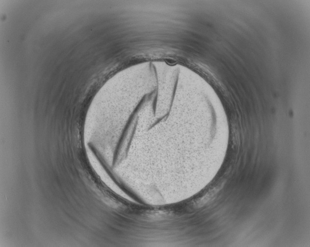 X0000068720453200605262005