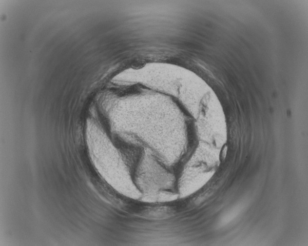 X0000068720459200605262005