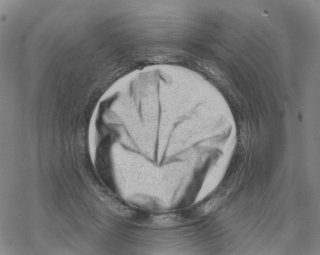 X0000068720461200605262005